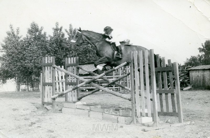 KKE 4638.jpg - Fot. Skoki przez płotki. Dżokej na koniu, lata 60-te XX wieku.